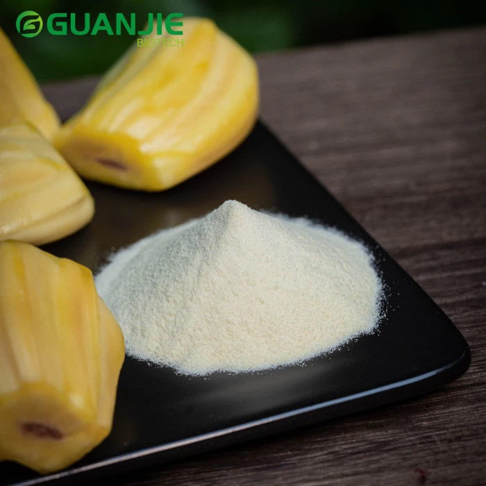 Raw Jack Fruit Powder Raw Jack Fruit Powder